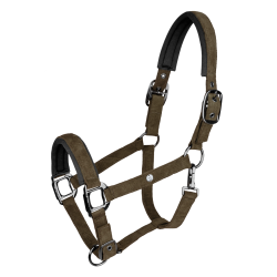 Waldhausen Halfter St. Gallen Braungrün