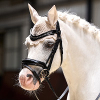Fliegenhaube Imperial Riding Rebel Grau / Sand