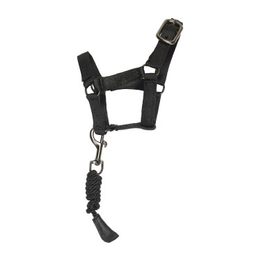 Spielzeug Stall-Set Imperial Riding Klein Schwarz Glitzer