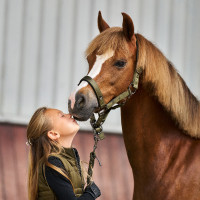 Halfter Imperial Riding Rebel Olivgrün Gr&amp;amp;amp;uuml;n