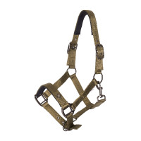 Halfter Imperial Riding Rebel Ballerina Lila