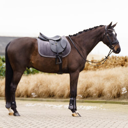 Satteldecke Imperial Riding Shadow GP