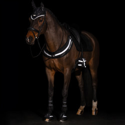 Fliegenohren Imperial Riding Luminous Schwarz Fliegenohren Imperial Riding Luminous Schwarz