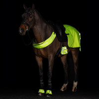Zehenwärmer für Steigbügel Imperial Riding Reflective, 2 Stück Blumenprint Motive Zehenwärmer für Steigbügel Imperial Riding Reflective, 2 Stück Blumenprint Motive