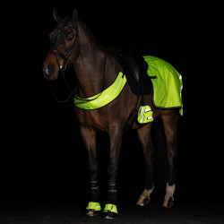 Zehenwärmer für Steigbügel Imperial Riding Reflective, 2 Stück Gelb Zehenwärmer für Steigbügel Imperial Riding Reflective, 2 Stück Gelb