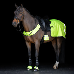 Zehenwärmer für Steigbügel Imperial Riding Reflective, 2 Stück Gelb Zehenwärmer für Steigbügel Imperial Riding Reflective, 2 Stück Gelb