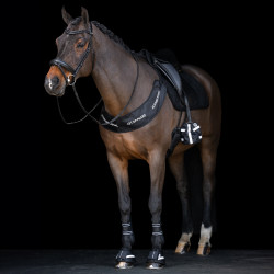 Zehenwärmer für Steigbügel Imperial Riding Reflective, 2 Stück Schwarz