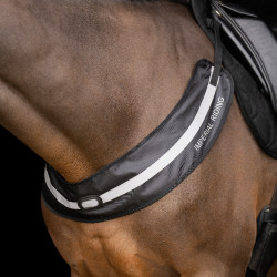 Imperial Riding Luminous Vorderzeug Schwarz