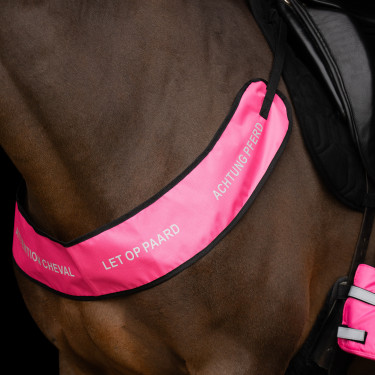 Imperial Riding Reflektierender Vorderzeug-Kragen Pink Rosa