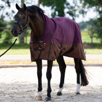 Imperial Riding Outdoor-Decke Customized High Neck Fleece Orange / Dunkelbraun Imperial Riding Outdoor-Decke Customized High Neck Fleece Orange / Dunkelbraun