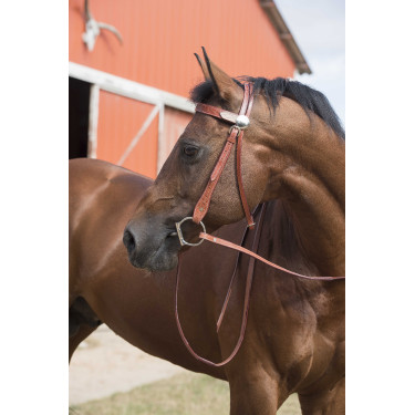 Bridon Randol'S Two One