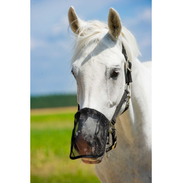 Nüsternschutz Fliegennetz