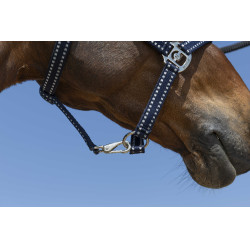 Halfter Norton Grooming Marineblau