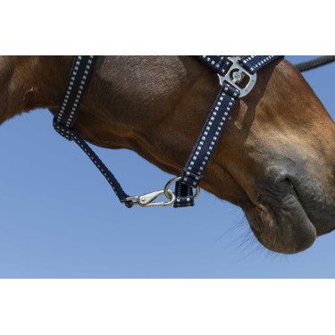 Halfter Norton Grooming Marineblau