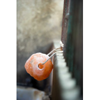 Himalaya-Salzleckstein Hippotonic