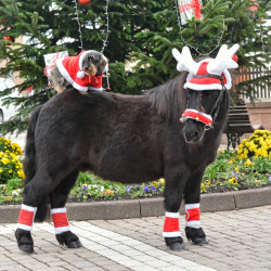 Weihnachts-Mütze Ohren in Rentiergeweih-Form Weihnachts-Mütze Ohren in Rentiergeweih-Form