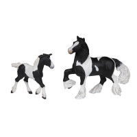 Irisches Tinker-Fohlen... Irisches Tinker-Fohlen...