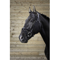 Bridon Norton Pro Fin Schwarz