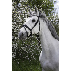 Trensenzaum Norton Pro Strass Schwarz Trensenzaum Norton Pro Strass Schwarz