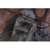 Elastische Kurzvorderzeug / Norton Pro Umlenkrollen Havanna Braun