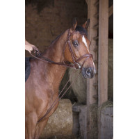 Deutsche Zügel Leder / Seil Norton Pro Havanna Braun Deutsche Zügel Leder / Seil Norton Pro Havanna Braun