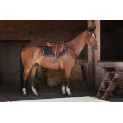 Kombigurt Eric Thomas Hybrid Havanna Braun