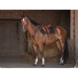 Kombigurt Eric Thomas Hybrid Havanna Braun