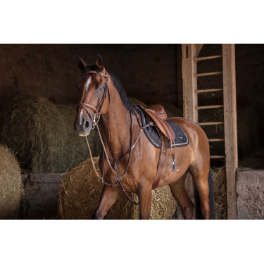 Kombigurt Eric Thomas Hybrid Havanna Braun