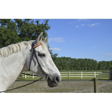 Leuchtstirnband Equizor LED Leuchtstirnband Equizor LED