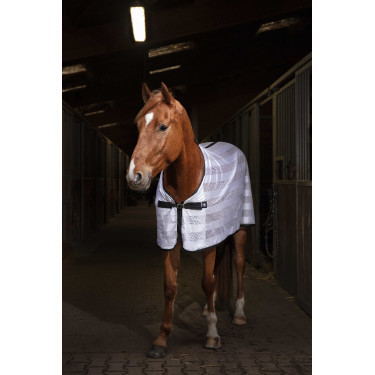 Reitshirt Riding World Mesh Reitshirt Riding World Mesh