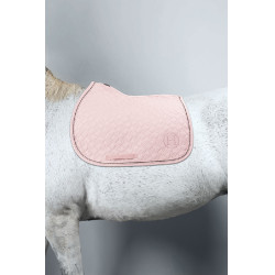 new Pfingstrose Rosa