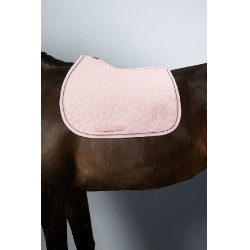 new Pfingstrose Rosa