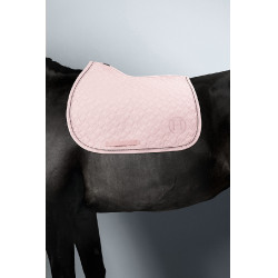 new Pfingstrose Rosa