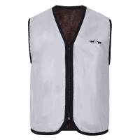 Reflektierende ärmellose Reitweste HV Polo Hi-Viz Silber / reflektierend Reflektierende ärmellose Reitweste HV Polo Hi-Viz Silber / reflektierend