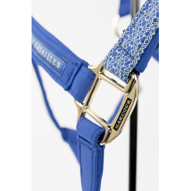 Halter und Führstrick Harcour x Versailles Maximin Halter und Führstrick Harcour x Versailles Maximin