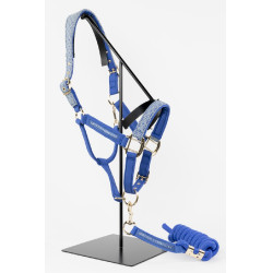 Halter und Führstrick Harcour x Versailles Maximin