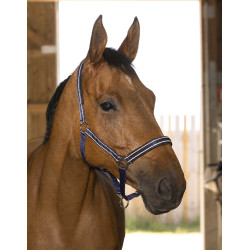 Norton Reflektierend Halfter Marineblau