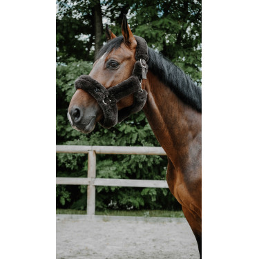 Halfter Je t'aime Equithème Snuggy Braun Halfter Je t'aime Equithème Snuggy Braun