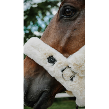 Halfter Je t'aime Equithème Snuggy Ecru Weiß Halfter Je t'aime Equithème Snuggy Ecru Weiß