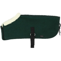 Mini-Decken Pony Academy Dunkelgrün Gr&amp;amp;amp;uuml;n