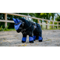 Mini-Gamaschen und Streichkappen Pony Academy Königsblau