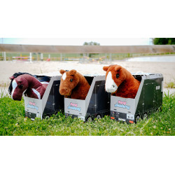 Mini-Pony Poly Pony Academy Zweifarbig Mini-Pony Poly Pony Academy Zweifarbig