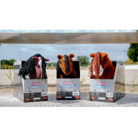 Mini-Pony Poly Pony Academy Zweifarbig Mini-Pony Poly Pony Academy Zweifarbig