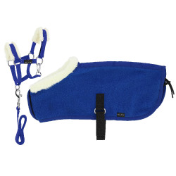Set Mini Halfter + Decke Pony Academy Königsblau