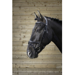 Bridon Norton Pro Geschnitten Bridon Norton Pro Geschnitten