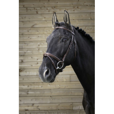 Bridon Norton Pro Fin Bridon Norton Pro Fin