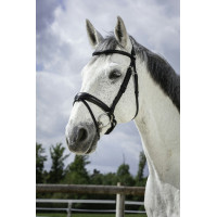 Bridon Norton Pro Soft Schwarz