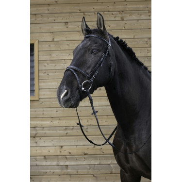 Bridon Riding World Kombinierter Nasenriemen Bridon Riding World Kombinierter Nasenriemen