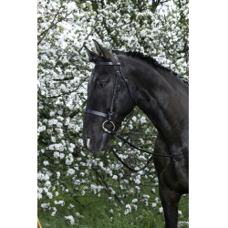 Bridon Riding World Französischer Nasenriemen Bridon Riding World Französischer Nasenriemen