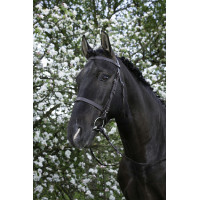 Bridon Riding World Muserolle française Havane